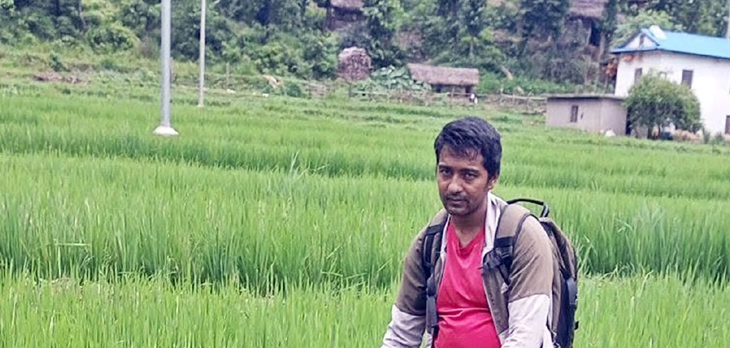 सल्यानमा धानबालीमा रोगकिराको प्रकोप बढेपछि किसान चिन्तित