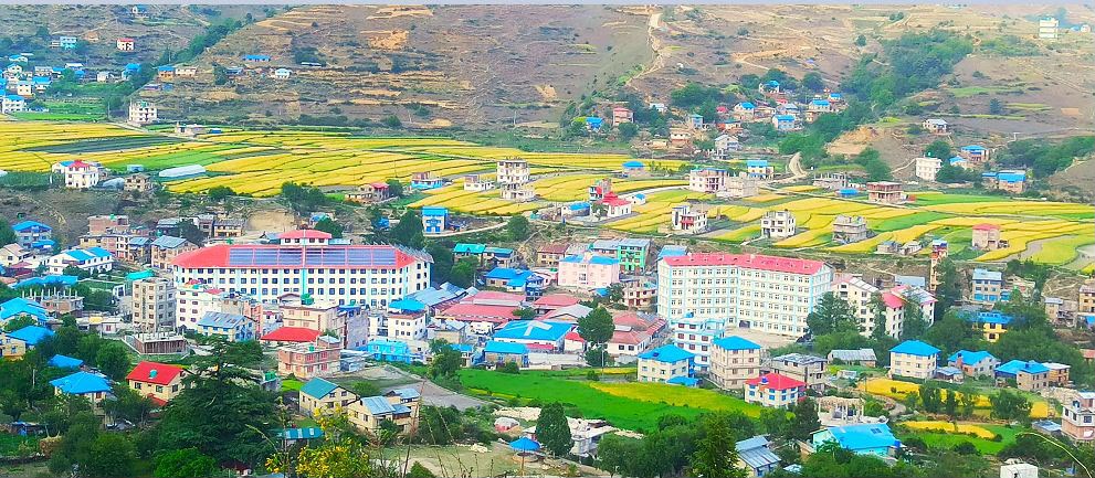 जुम्लाले उत्पादन गर्न थाल्यो विशेषज्ञ डाक्टर