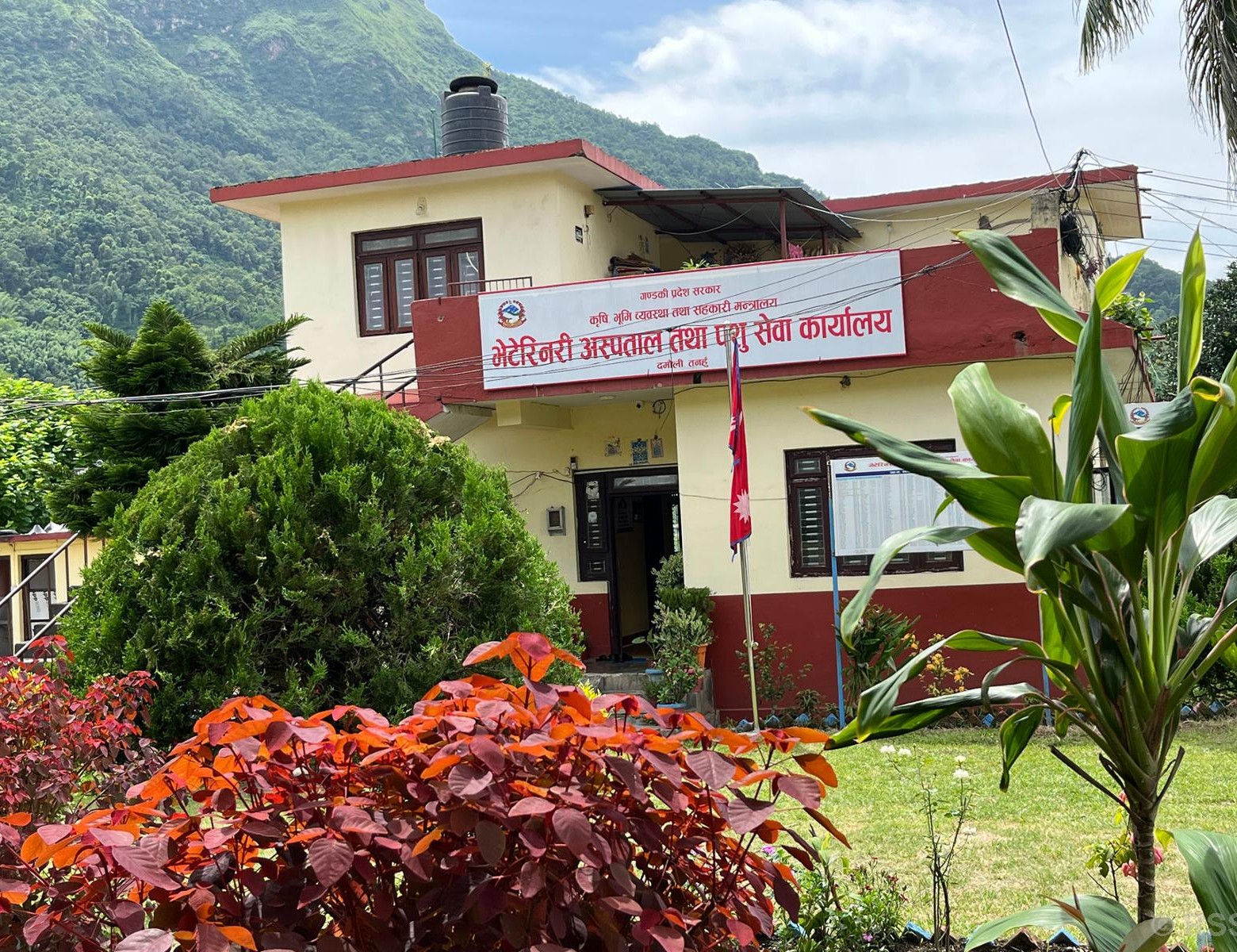 बृहत्तर पशु विकास प्रवर्द्धन कार्यक्रमबाट किसान लाभान्वित