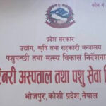 चाडबाड नजिकिँदै गर्दा भोजपुरमा बजार अनुगमन