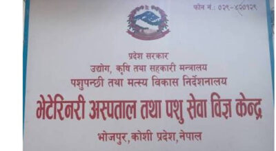 चाडबाड नजिकिँदै गर्दा भोजपुरमा बजार अनुगमन