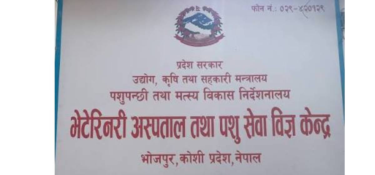 चाडबाड नजिकिँदै गर्दा भोजपुरमा बजार अनुगमन