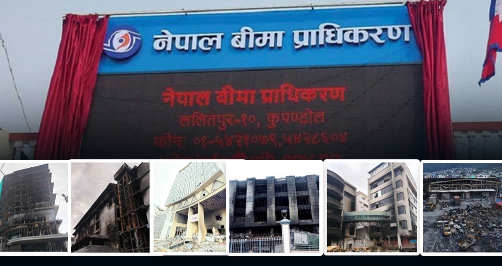 जेनजी आन्दोलनको बीमा भुक्तानी सुस्त