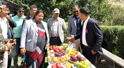 मुस्ताङको शितोष्ण बागवानी केन्द्रमा बायोटेक्नोलोजिस्टको दरबन्दी थपिने
