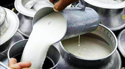 तनहुँका किसानले दुध बिक्रीबाट कमाए २४ करोडभन्दा बढी
