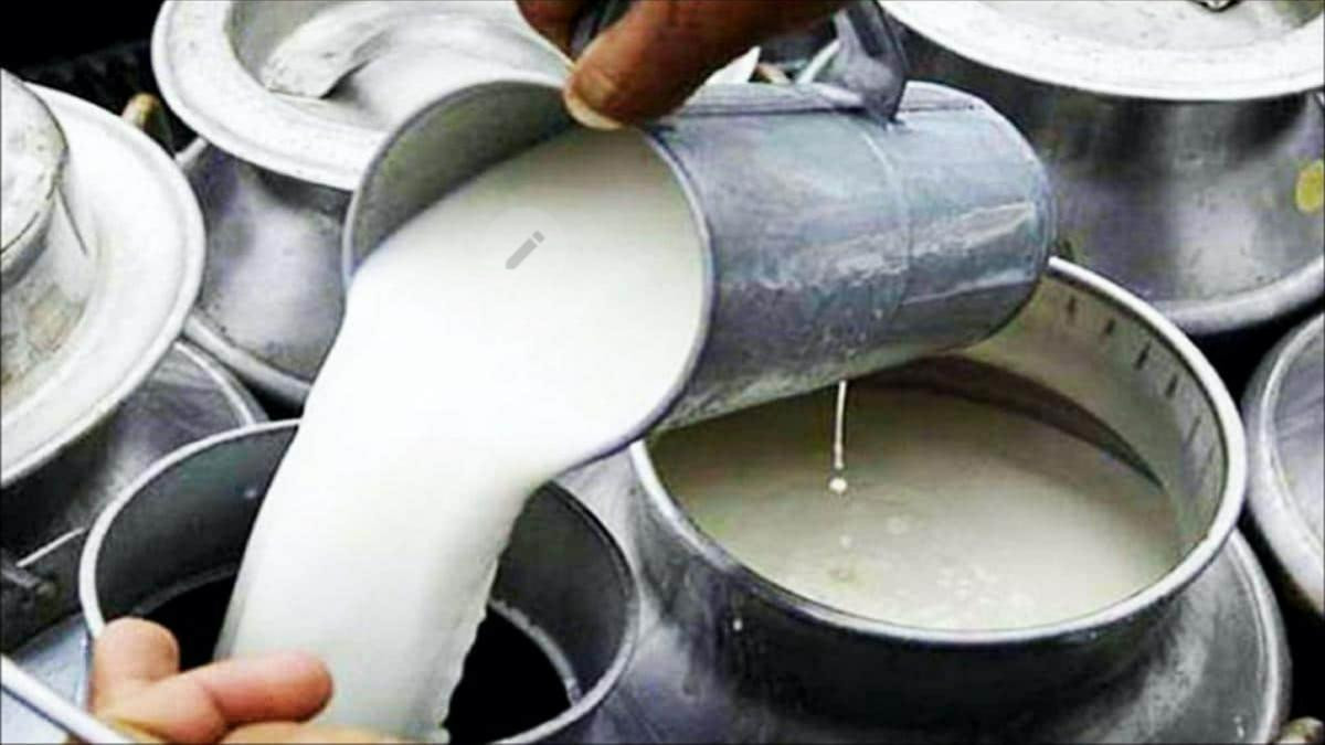तनहुँका किसानले दुध बिक्रीबाट कमाए २४ करोडभन्दा बढी