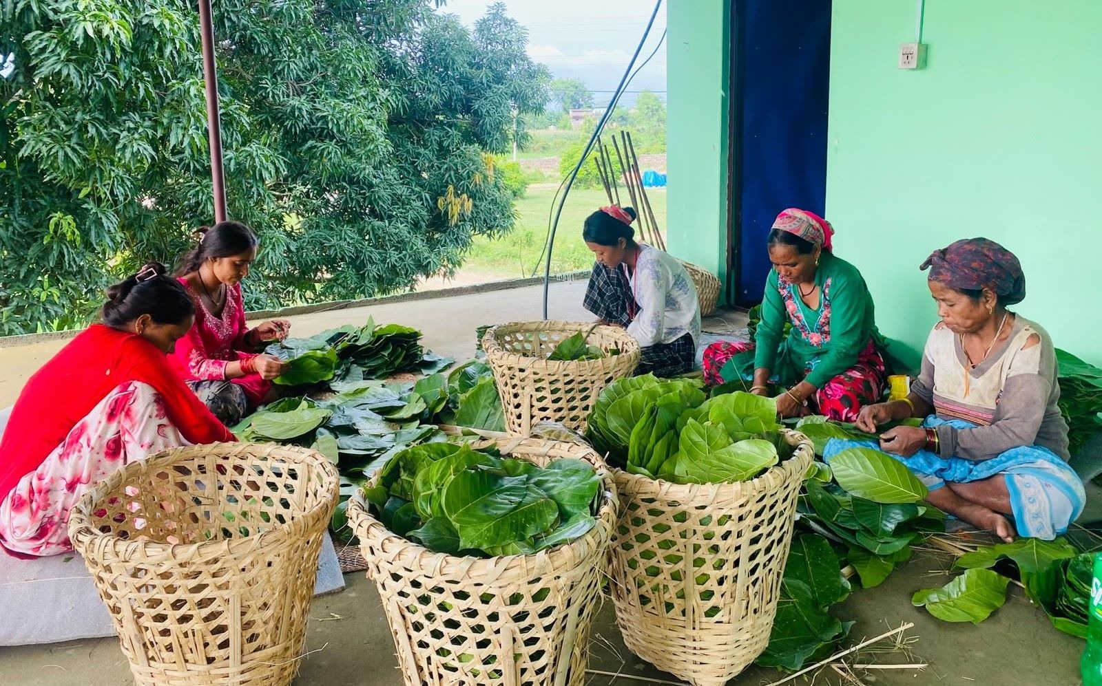 दाङका महिलालाई सालको पातबाट दुनाटपरी बनाएर आम्दानीको अवसर