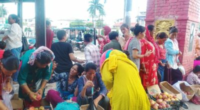 तीजको कोसेलीः कर्णालीको स्याउ