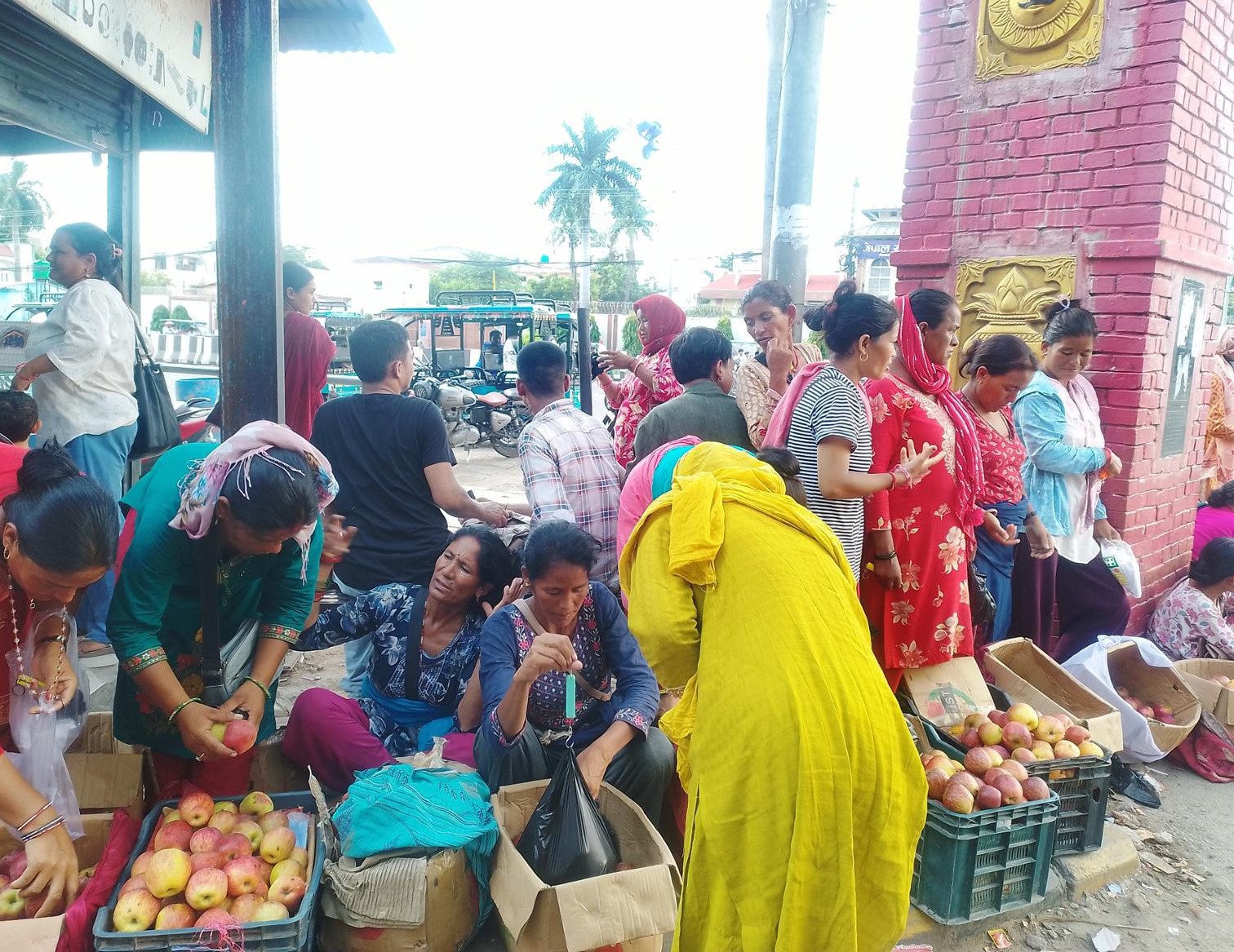 तीजको कोसेलीः कर्णालीको स्याउ