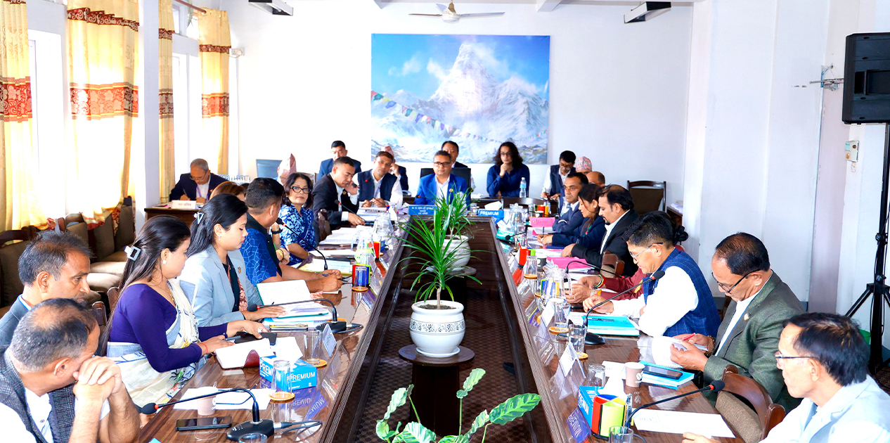 अर्थ समितिको बैठक स्थगित