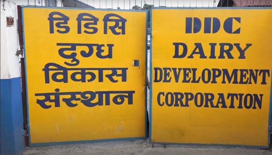‘दैनिक ८५ हजार लिटर वृद्धि गरी एक लाख ५० हजार लिटर दूध सङ्कलन गर्ने डिडिसीको लक्ष्य’