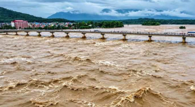 नारायणी पुलमा सवारी साधन र आवतजावतमा प्रतिबन्ध