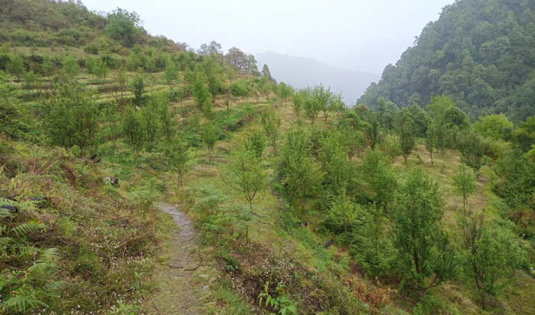 सिमस्याइलका लेकमा कृषि क्रान्ति गरिरहेका जयबहादुर