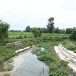 जैविक विविधतासहितको सिमसार सोती अतिक्रमणको चपेटामा