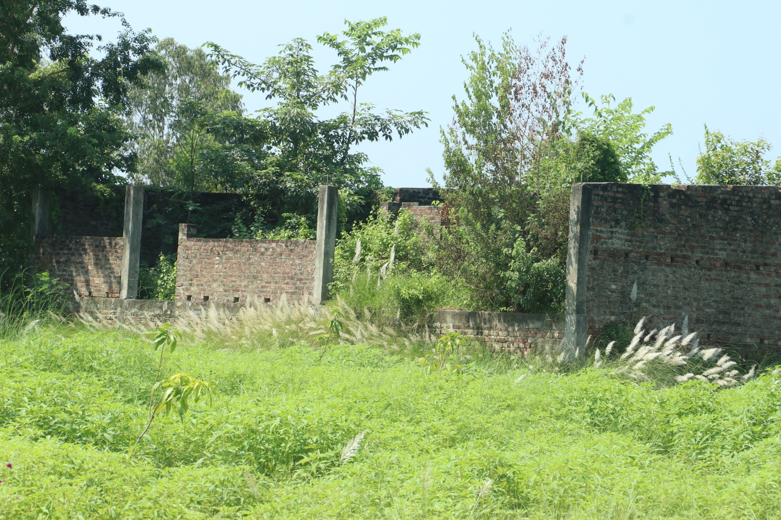 शीतभण्डार आयोजना अलपत्र,किसानको जग्गा सात वर्षदेखि उपयोगविहीन