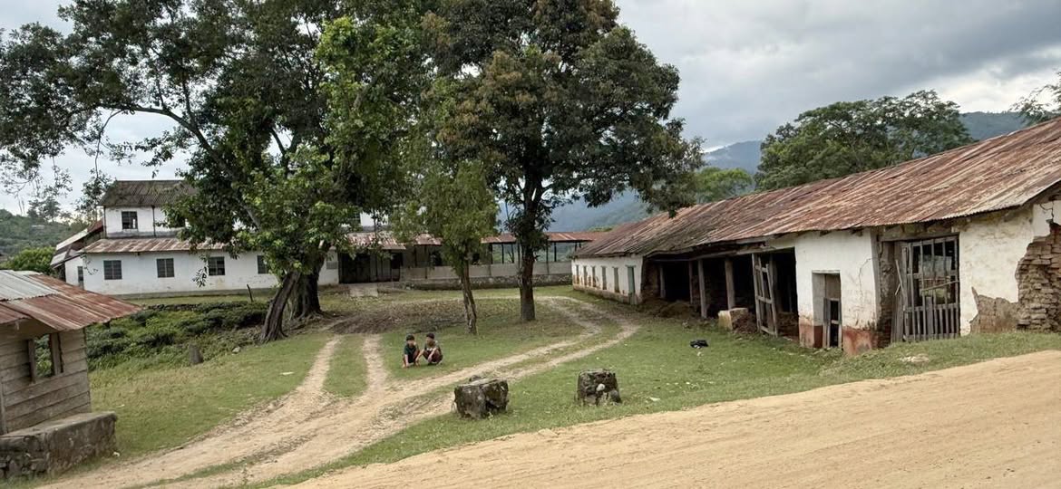 इलामको चिलिमकोट चिया कारखाना जीर्ण अवस्थामा