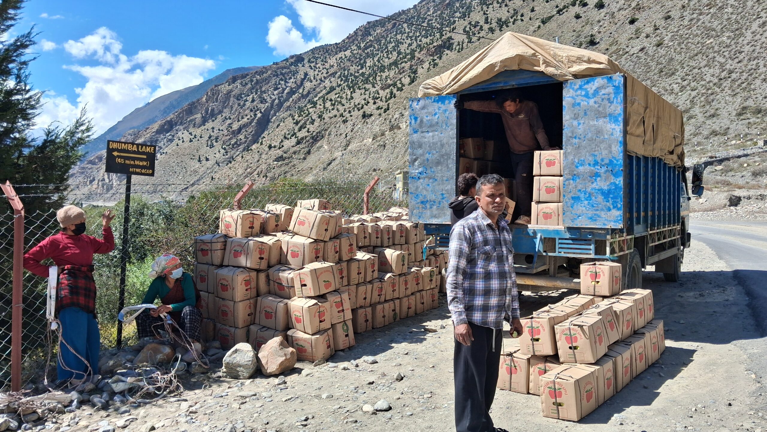 मुस्ताङबाट हालसम्म ३० प्रतिशतमात्र स्याउ निकासी