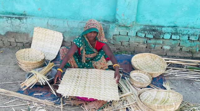 डोम समुदायका पेसा संकटमा