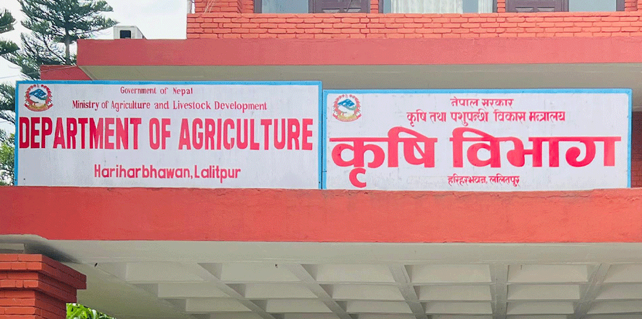बाली लगाइएका जमिनबाट पानी निकासको व्यवस्था गर्न आह्वान