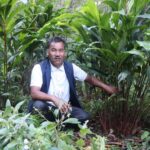 म्याग्दीमा व्यावसायिक अलैँची खेती सफल