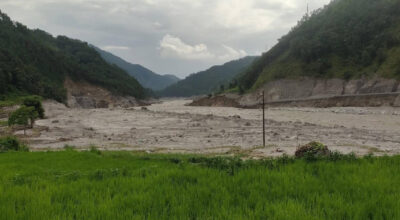 धानखेत बगरमा परिणत