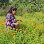 फूलको अग्रिम माग हुन थालेपछि व्यवसायी उत्साहित