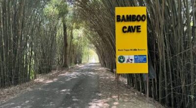 पर्यटकको रोजाइमा कोशीटप्पुको बेम्बो केभ