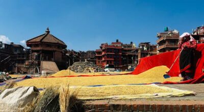 भक्तपुरका सडकमा धान सुकाउने पुरानो चलन