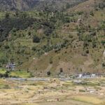 दसैँको चहलपहल बढे पनि बाजुराका किसान धान भित्र्याउन व्यस्त