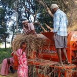 कपिलवस्तुका किसान धान दाइँमा आधुनिक थ्रेसरको प्रयोगतर्फ आकर्षित