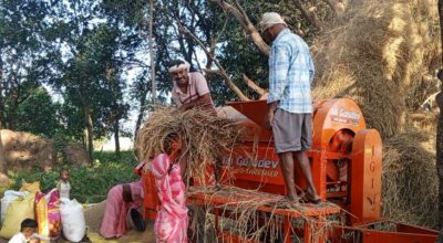 कपिलवस्तुका किसान धान दाइँमा आधुनिक थ्रेसरको प्रयोगतर्फ आकर्षित