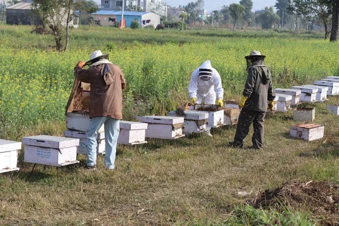मौरीपालक किसानका लागि बिमा कम्पनीको सर्तमा समस्या