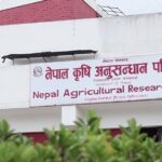 नार्कले खुमलटारका कर्मचारी आवास गृह खाली गराउन दियो निर्देशन