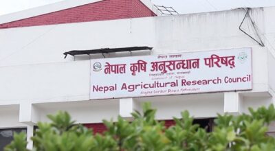 नार्कले खुमलटारका कर्मचारी आवास गृह खाली गराउन दियो निर्देशन