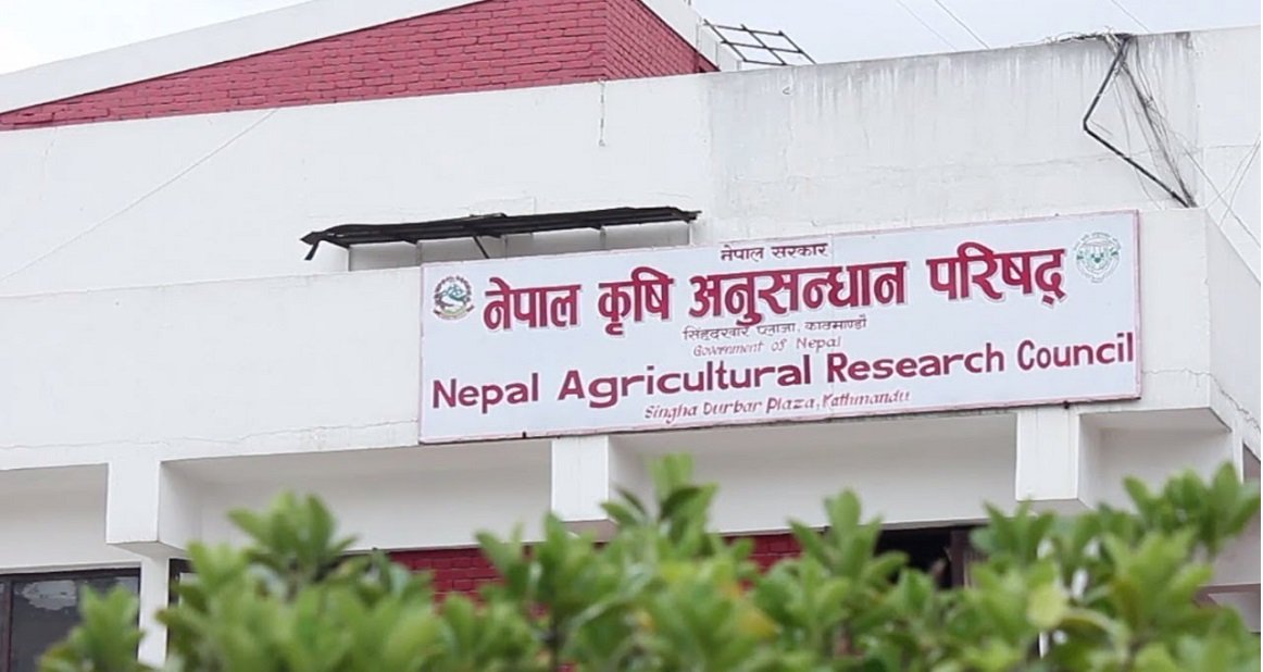 नार्कले खुमलटारका कर्मचारी आवास गृह खाली गराउन दियो निर्देशन