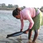 दसैँ खर्च जुटाउन कर्णालीमा सुन चाल्दै सोनाहा समुदाय