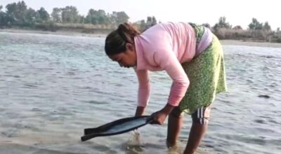 दसैँ खर्च जुटाउन कर्णालीमा सुन चाल्दै सोनाहा समुदाय
