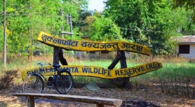 शुक्लाफाँटा राष्ट्रिय निकुञ्जमा बढ्यो पर्यटकको आकर्षण