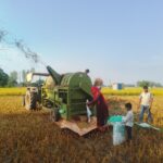 ‘थ्रेसर मेसिन’सञ्चालन गरेर गाउँमै स्वरोजगार