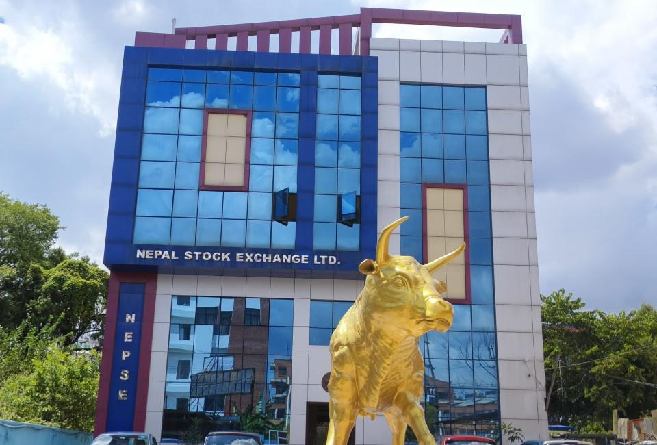नेप्सेमा देखिएको गिरावट र बजारको वास्तविक अवस्था